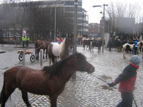 smithfield_horsefair.jpg
