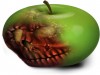 rotten_apple2.png rotten_apple2.png