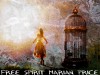 Free Spirit Marian Price Free Spirit Marian Price